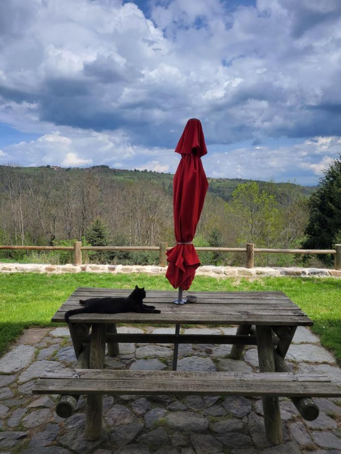 Se Reconnecter A La Nature Au Gite 3 Etoiles De Montager A Saint Andre De Chalencon ภายนอก รูปภาพ