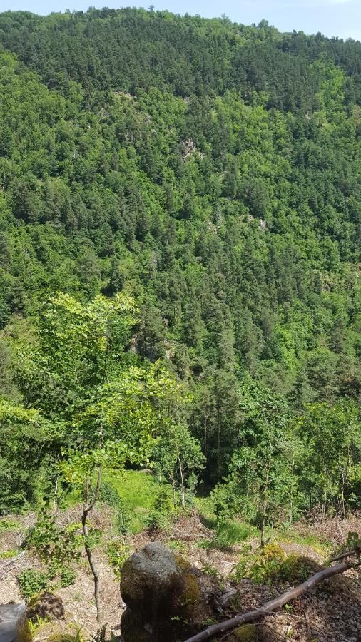 Se Reconnecter A La Nature Au Gite 3 Etoiles De Montager A Saint Andre De Chalencon ภายนอก รูปภาพ