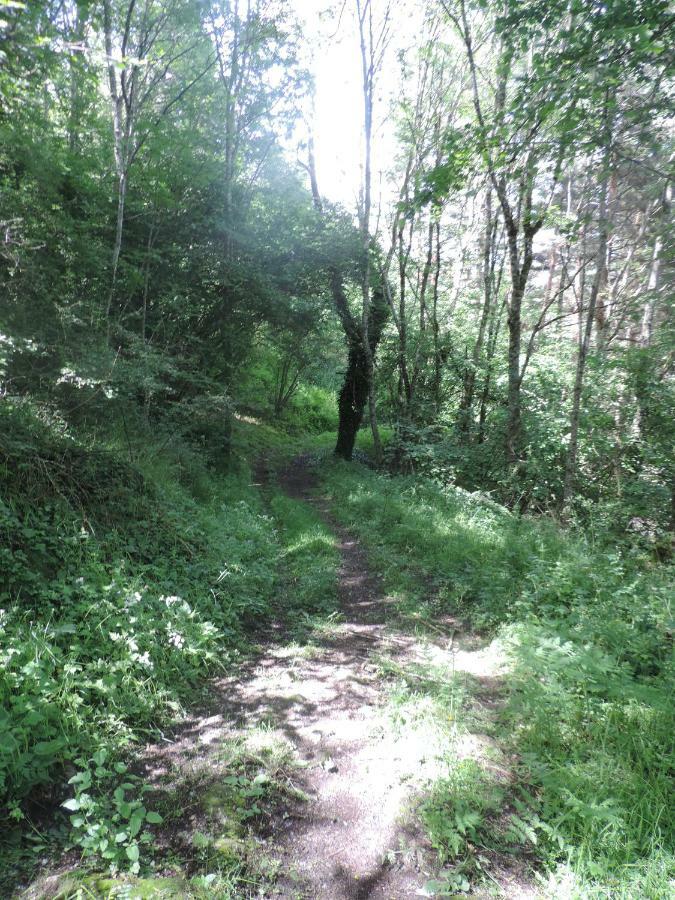 Se Reconnecter A La Nature Au Gite 3 Etoiles De Montager A Saint Andre De Chalencon ภายนอก รูปภาพ
