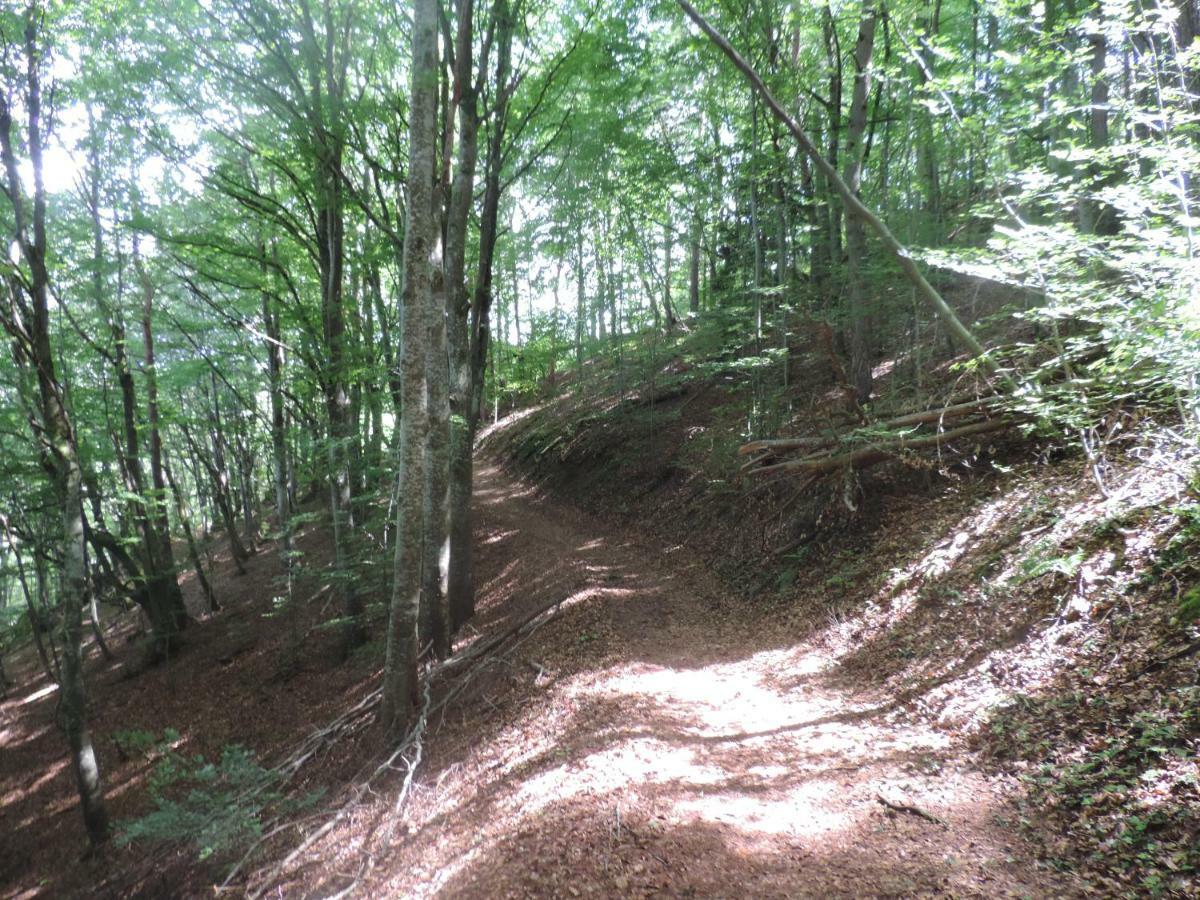 Se Reconnecter A La Nature Au Gite 3 Etoiles De Montager A Saint Andre De Chalencon ภายนอก รูปภาพ