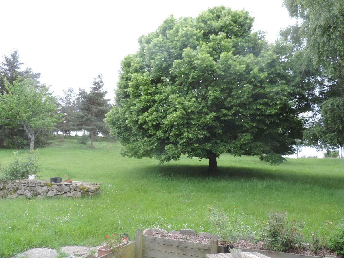 Se Reconnecter A La Nature Au Gite 3 Etoiles De Montager A Saint Andre De Chalencon ภายนอก รูปภาพ