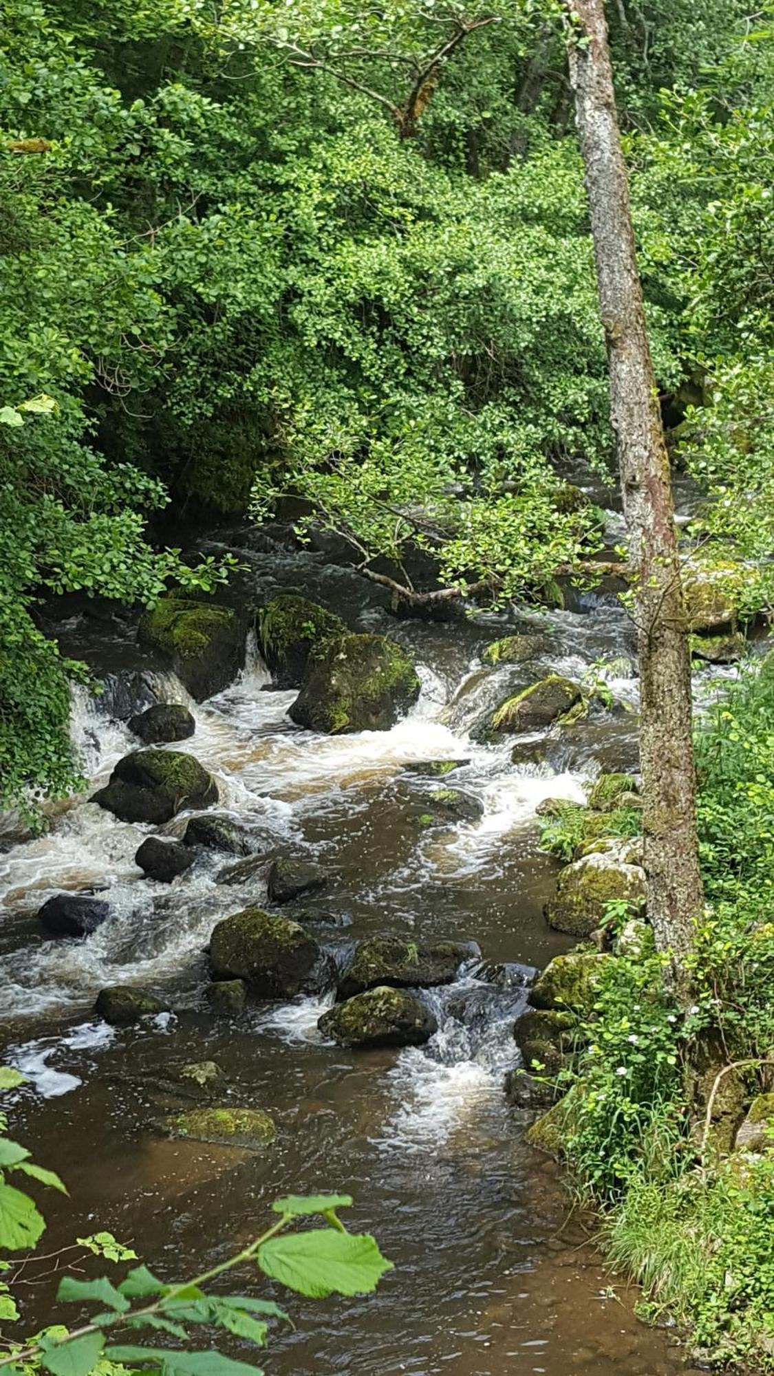 Se Reconnecter A La Nature Au Gite 3 Etoiles De Montager A Saint Andre De Chalencon ภายนอก รูปภาพ
